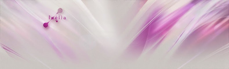 IXELIA : Agence de communication, Concepteur de Sites Web à Lachapelle-Saint-Pierre