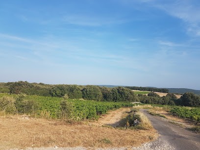 Criti, Concepteur de Sites Web à Orgnac-l'Aven