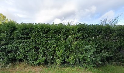 Ecolocale Naintré, Concepteur de Sites Web à Naintré