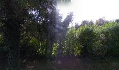 JPM WEB, Concepteur de Sites Web à Riedisheim