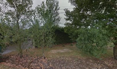 Raevesteyn Bruno, Concepteur de Sites Web à Gaillac-Toulza