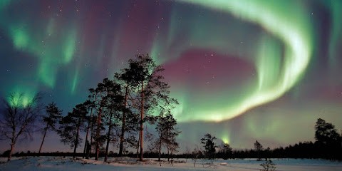 Weenypub Création De Site Internet, Concepteur de Sites Web à Tallard