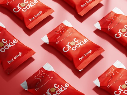 La Bonne Casquette, Concepteur de Sites Web à Lagnieu