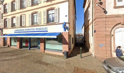 Morato Consulting, Concepteur de Sites Web à Haguenau