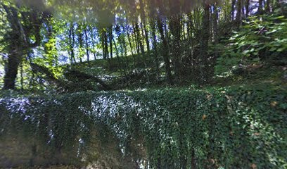 BiX Services, Concepteur de Sites Web à Neuville-sur-Saône