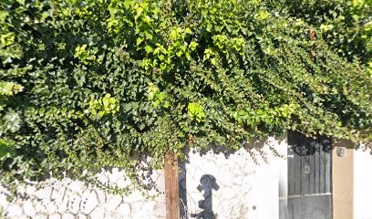 Agence S Communication, Concepteur de Sites Web à Marseille 04