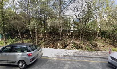 Artificial Intelligence Systems, Concepteur de Sites Web à Vallauris