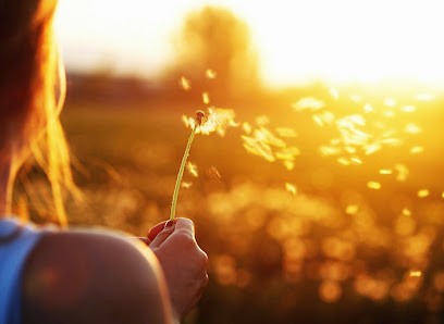 Weedigital, Concepteur de Sites Web à Gradignan