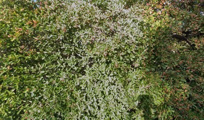 AGENCE TWOGETHER, Concepteur de Sites Web à Carqueiranne