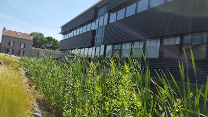 MAZEDIA - 44800, Concepteur de Sites Web à Saint-Herblain