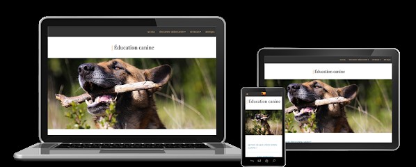 CaniWeb, Concepteur de Sites Web à Sos