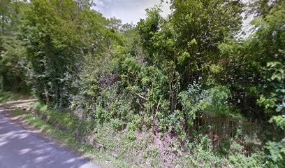 Orchestre Le Bounty, Concepteur de Sites Web à Villefargeau