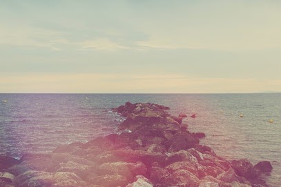 Alexandre De Charrin, Concepteur de Sites Web à Vougy