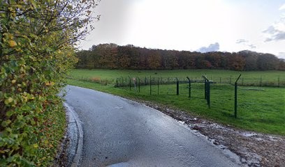 Karl Levasseur, Concepteur de Sites Web à Gruchet-le-Valasse