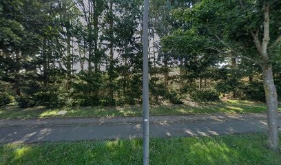 Gilles Vermeulin, Concepteur de Sites Web à Guyancourt