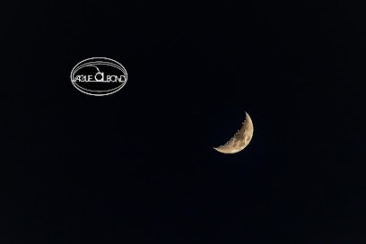 Vague à Bond, Concepteur de Sites Web à La Faye