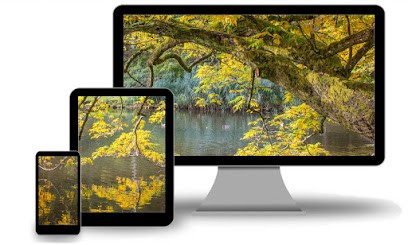 IO Network, Concepteur de Sites Web à Villette-sur-Ain