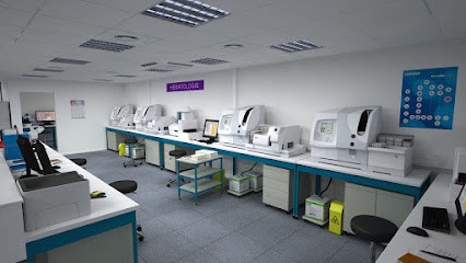 Moreau Olivier, Concepteur de Sites Web à Saint-Jean-de-Védas