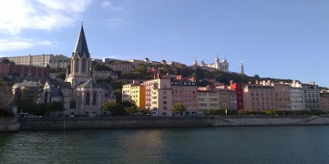 Frédéric Houben, Concepteur de Sites Web à Lyon 06