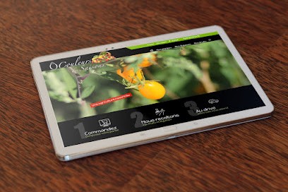 Web Imago, Concepteur de Sites Web à Perpignan