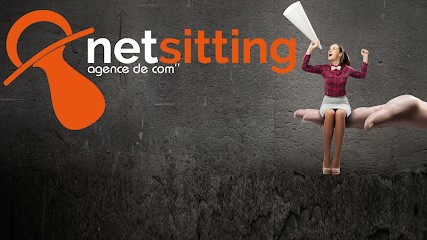 Netsitting, Concepteur de Sites Web à Frelinghien