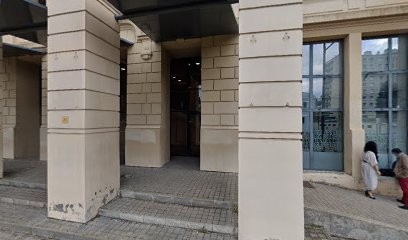 SITE LINE, Concepteur de Sites Web à Saint-Étienne