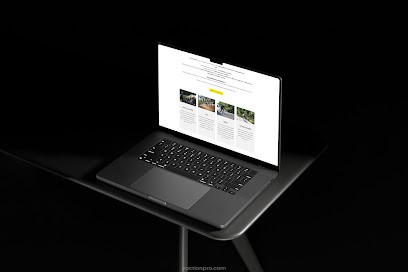 VAction, Concepteur de Sites Web à Grans