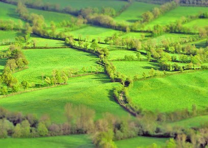 SNS - Web Et Informatique, Concepteur de Sites Web à Sévérac d'Aveyron