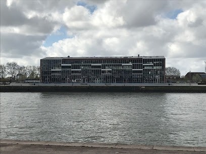 NoriPyt, Concepteur de Sites Web à Rouen