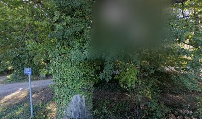 Le P'tit Mouchard, Concepteur de Sites Web à Saint-Romain-la-Motte