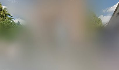 Pigxel Web, Concepteur de Sites Web à Mauron