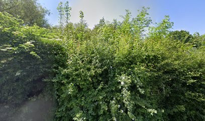 Web // Ascension, Concepteur de Sites Web à Sepmeries