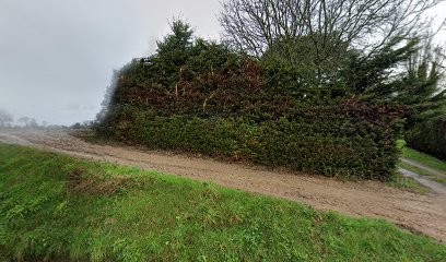 Spotliner, Concepteur de Sites Web à Pleudaniel