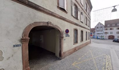 Polypod, Concepteur de Sites Web à Sélestat