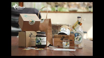 Studio NouvelleVie, Concepteur de Sites Web à Gallardon