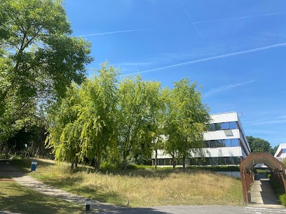 BWAT Agence Digitale, Concepteur de Sites Web à Cergy