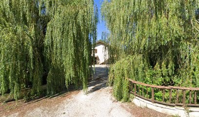 Studio Revermont, Concepteur de Sites Web à Villereversure