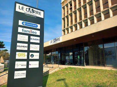 WP Alex - Création Site Web WordPress Depuis 2013, Concepteur de Sites Web à Saint-Malo