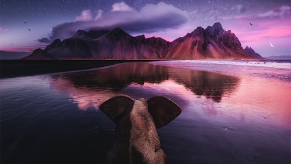 Design By Evans, Concepteur de Sites Web à Nice