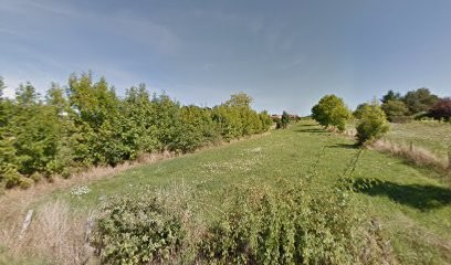 Studio 550, Concepteur de Sites Web à Cublize