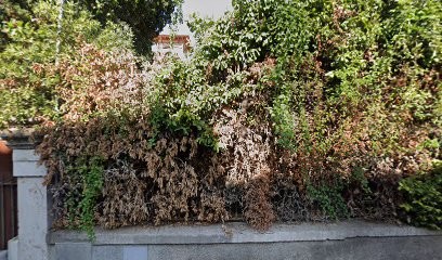 ERGOART - Groupe D’experts Spécialisé Dans Le Digital, L'ergonomie Et Le Design, Concepteur de Sites Web à Nice