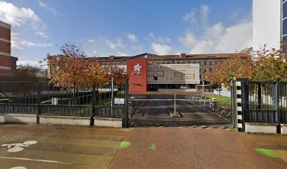 Chimichuweb, Concepteur de Sites Web au Petit-Quevilly