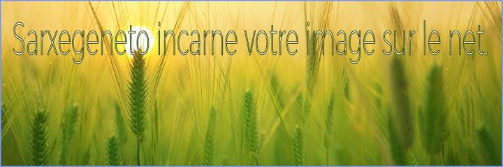 Formaunivstrasdevstackseo, Concepteur de Sites Web à Lons-le-Saunier