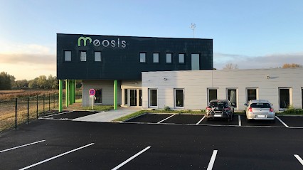 Meosis, Concepteur de Sites Web à Tresses