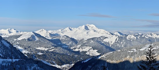 les Ateliers Montagn'Arts conception site web internet Morzine Avoriaz Les Gets, Concepteur de Sites Web à Montriond