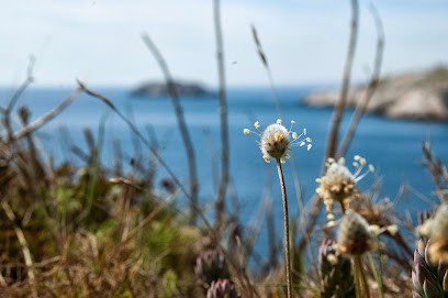 Natural Solutions, La Technologie Au Service De La Biodiversité, Concepteur de Sites Web à Marseille 01