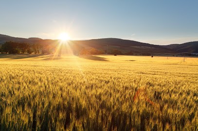 Coactis, Concepteur de Sites Web à Strasbourg