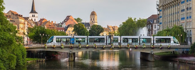 Be BOLD, Concepteur de Sites Web à Strasbourg
