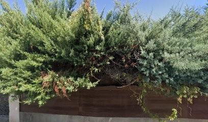 Guy Buret, Concepteur de Sites Web au Pradet