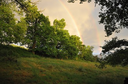 A La Lisiere Du Web, Concepteur de Sites Web à Planioles
